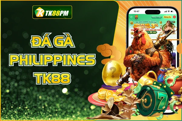 Đá Gà Philippines TK88 - Ván Đấu Kịch Tính Và Gay Cấn